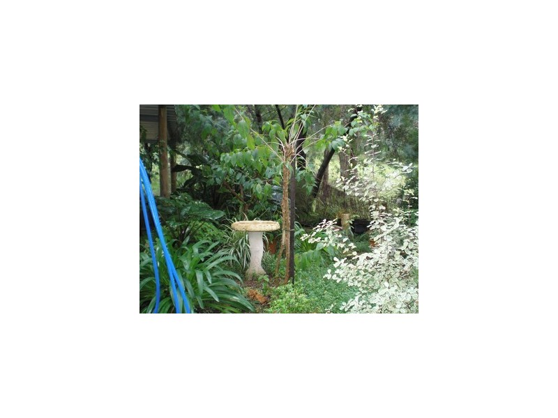 Lot 145 Struthers Street, Nannup WA 6275