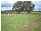 lot 11166 Dep plan 204908, Nannup WA 6275