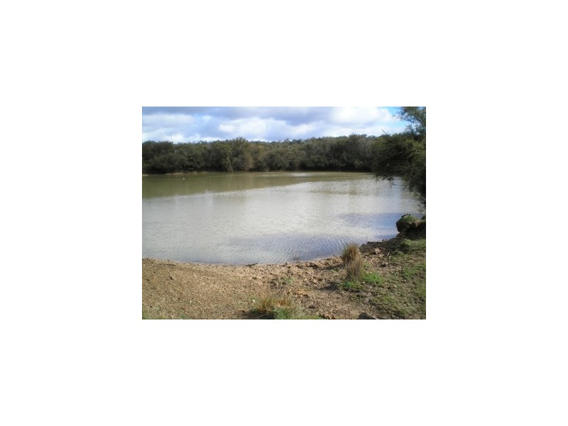 lot 11166 Dep plan 204908, Nannup WA 6275