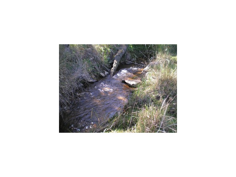 lot 85 East Nannup Road, Nannup WA 6275