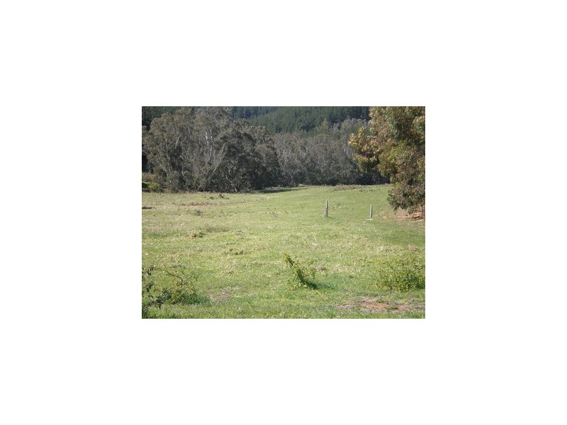 lot 85 East Nannup Road, Nannup WA 6275