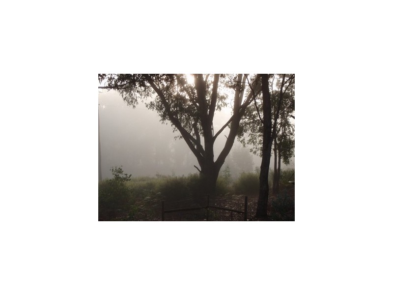 15 Denny Road, Nannup WA 6275