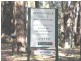 Lot 10 Balingup Road, Nannup WA 6275