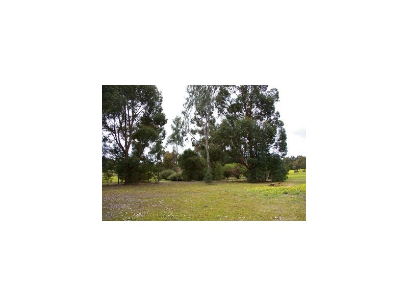 Lot 37 Johnston Road, Jalbarragup WA 6275