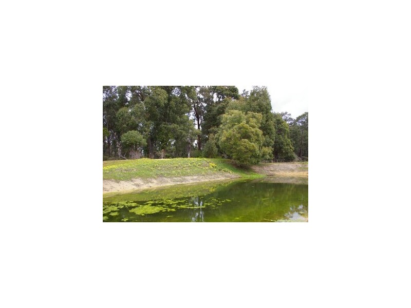 Lot 37 Johnston Road, Jalbarragup WA 6275