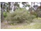 Lot 37 Johnston Road, Jalbarragup WA 6275