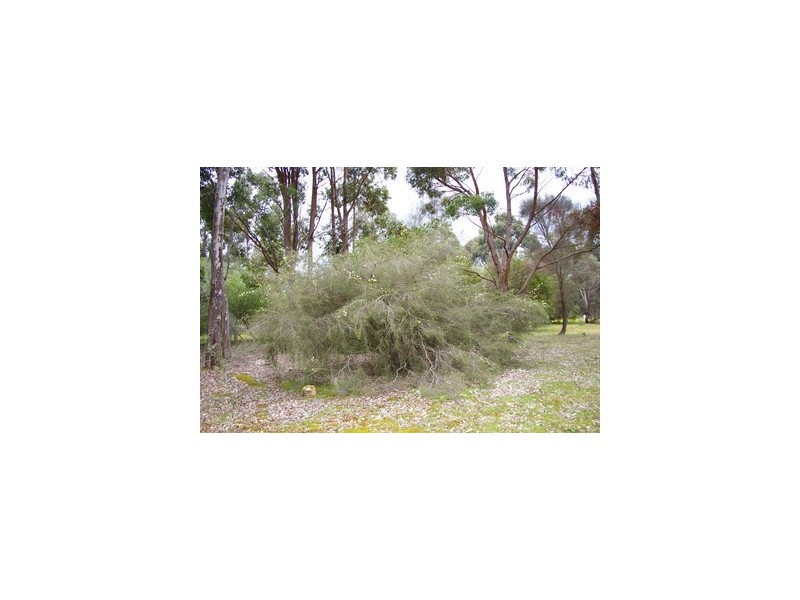 Lot 37 Johnston Road, Jalbarragup WA 6275