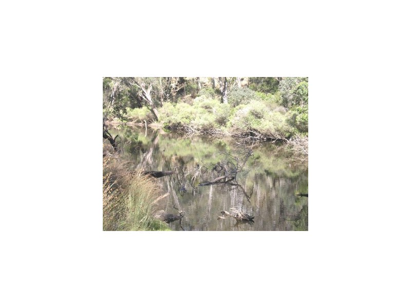 10 Balingup Road, Nannup WA 6275