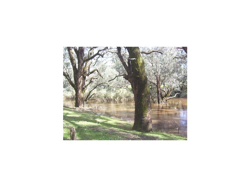 Lot1/7 Balingup Road, Nannup WA 6275