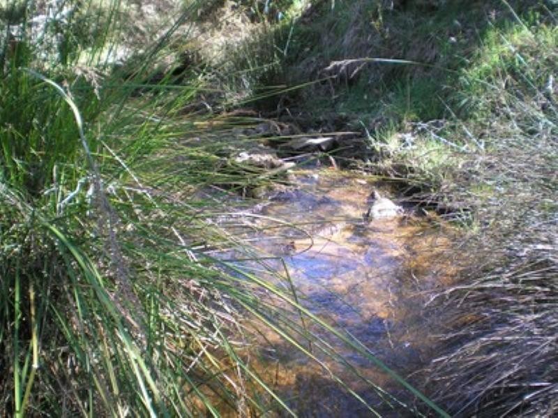 Lot  85 East Nannup Road, Nannup WA 6275