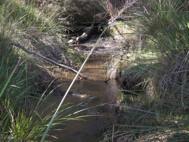 Lot  85 East Nannup Road, Nannup WA 6275