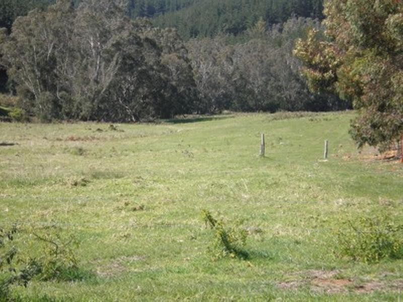 Lot  85 East Nannup Road, Nannup WA 6275