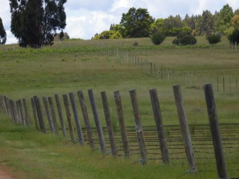 Ale Farm Graphite Road, Carlotta WA 6275