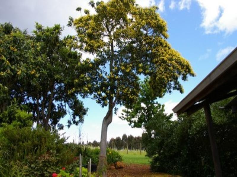 Ale Farm Graphite Road, Carlotta WA 6275