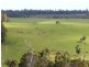 Lot 20 McKittrick Road, Nannup WA 6275
