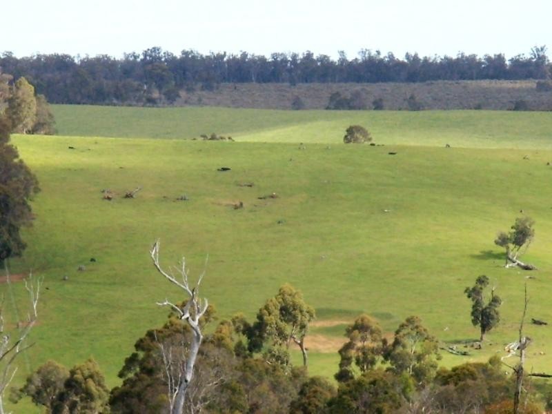 Lot 20 McKittrick Road, Nannup WA 6275