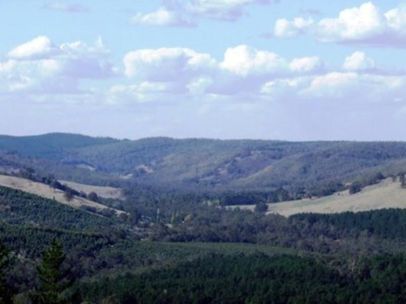 Lot 1 Boundary Road, Nannup WA 6275