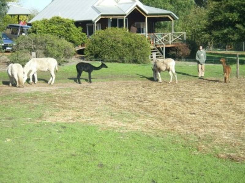 15 Doust Street, Bridgetown WA 6255