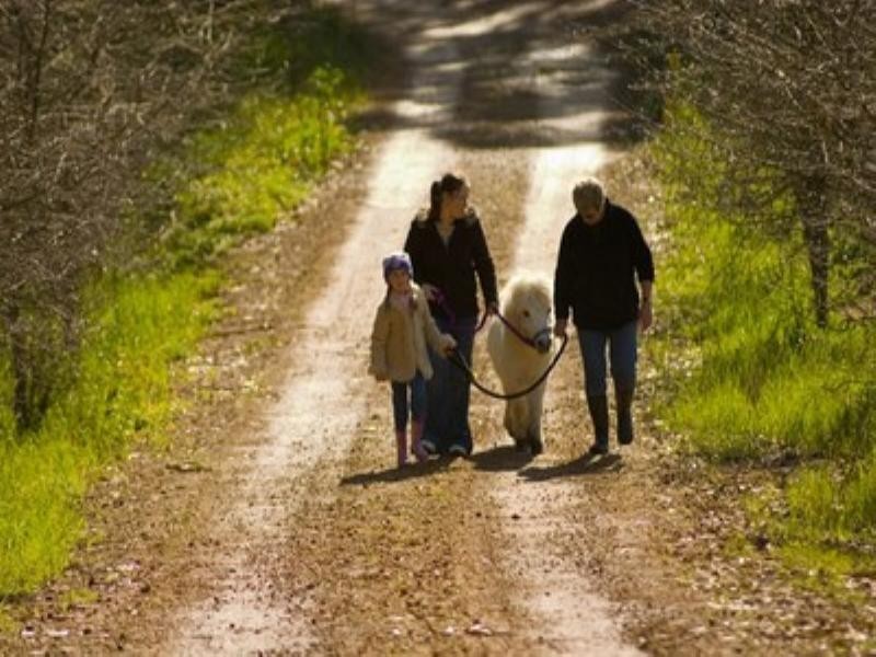 15 Doust Street, Bridgetown WA 6255