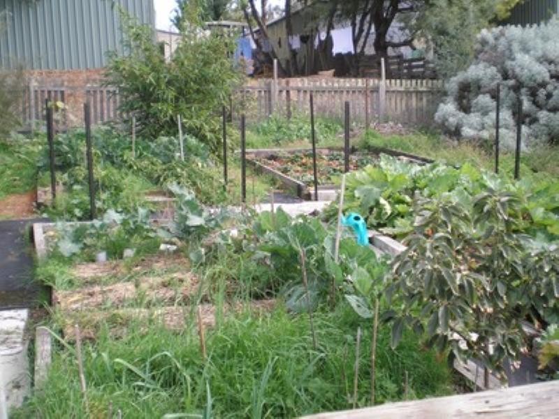 48 Grange Road, Nannup WA 6275