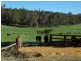 lot 11579 Graphite Road, Nannup WA 6275