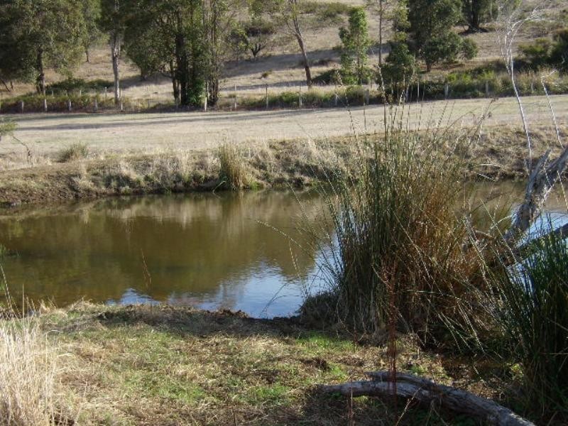 lot 11579 Graphite Road, Nannup WA 6275