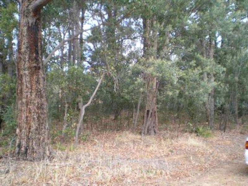 62 Carey Street, Nannup WA 6275