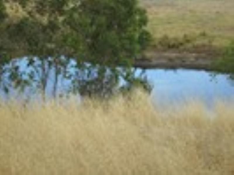 84 Cambell, Nannup WA 6275