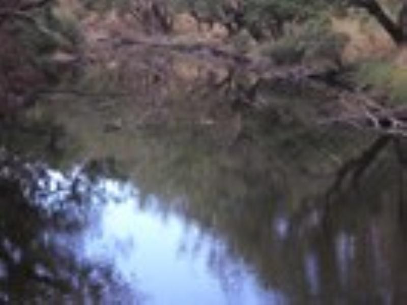 84 Cambell, Nannup WA 6275