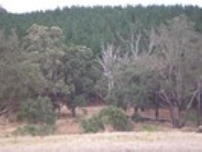 84 Cambell, Nannup WA 6275