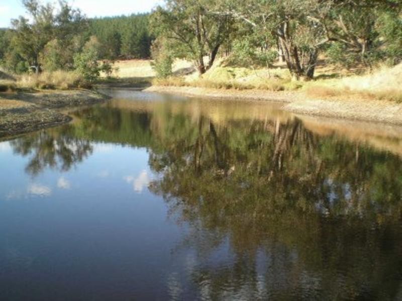 84 Campbell Road, Nannup WA 6275