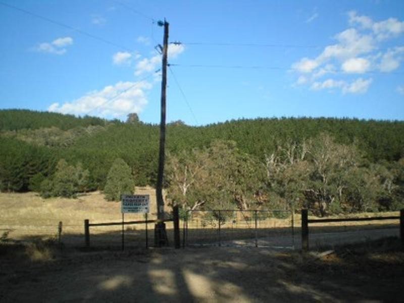 84 Campbell Road, Nannup WA 6275