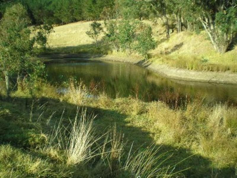 84 Campbell Road, Nannup WA 6275