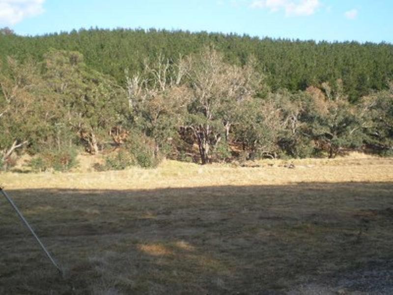 84 Campbell Road, Nannup WA 6275