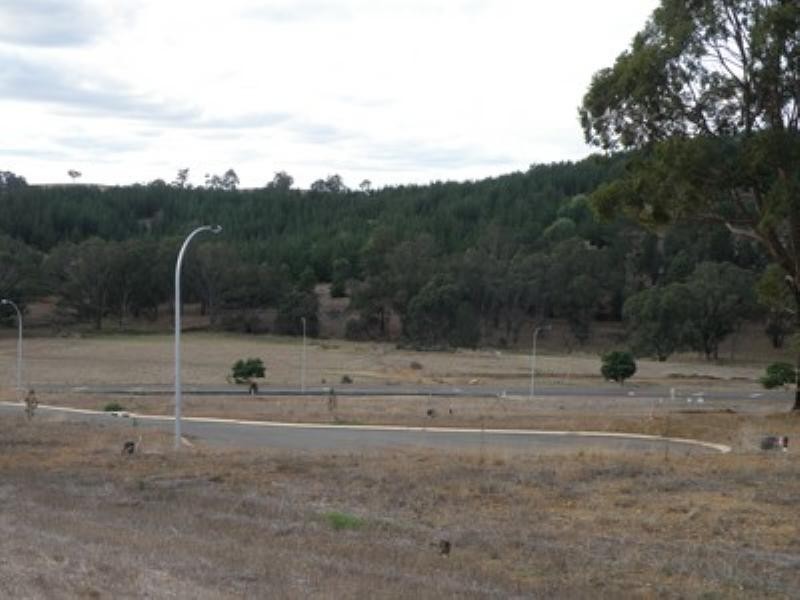 25 Dunnet Road, Nannup WA 6275