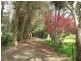 Nannup WA 6275