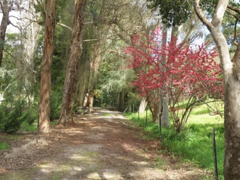 Nannup WA 6275