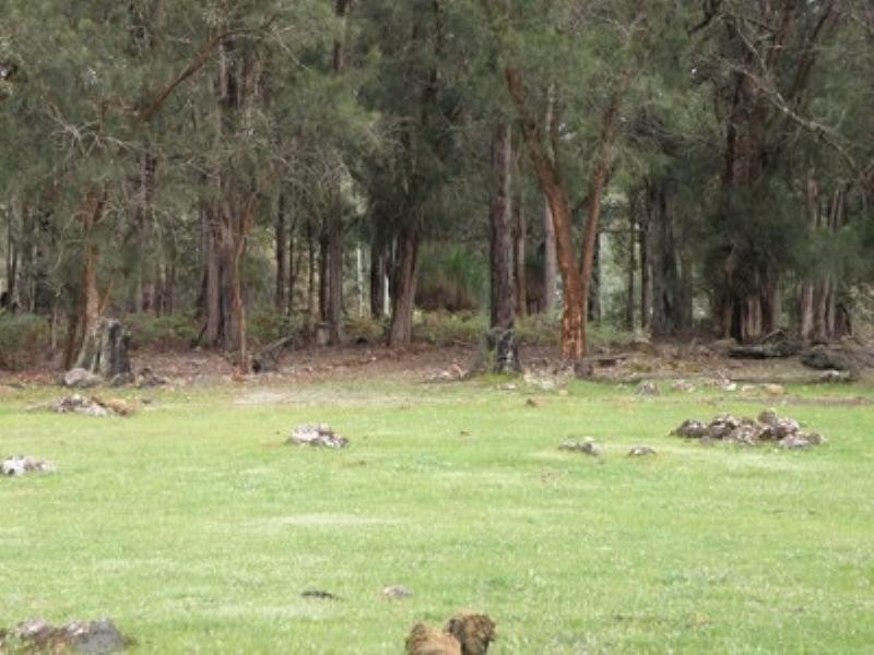 Lot 17 Blackwood River Drive, Nannup WA 6275