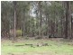 Lot 17 Blackwood River Drive, Nannup WA 6275