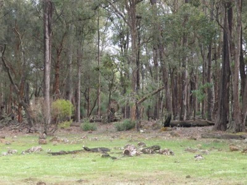 Lot 17 Blackwood River Drive, Nannup WA 6275