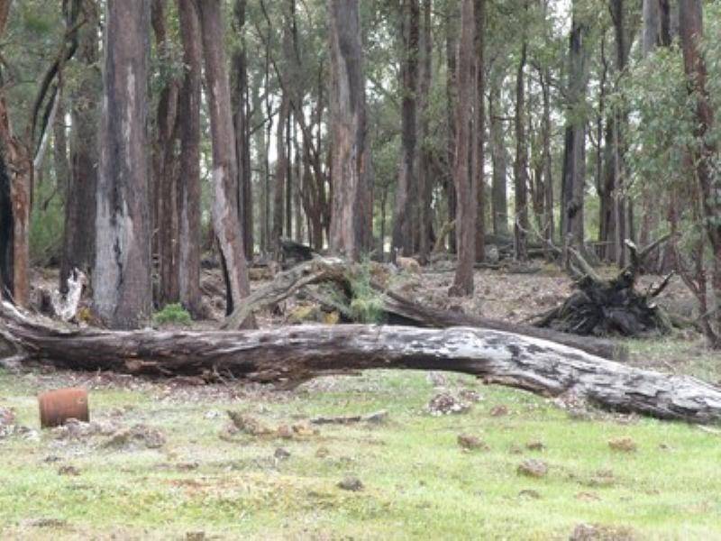 Lot 17 Blackwood River Drive, Nannup WA 6275