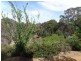 Lot 200 Balingup Road, Nannup WA 6275