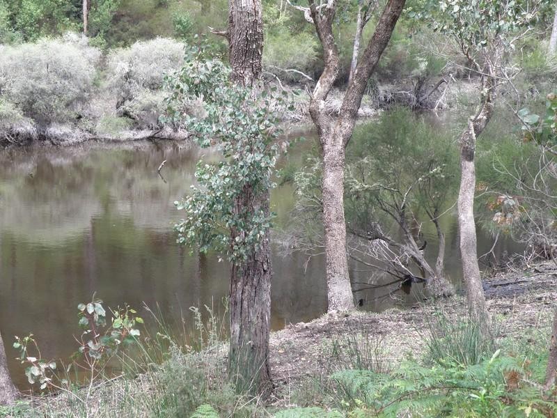 Lot 3 and 4 Diagram 77905, Manjimup WA 6258