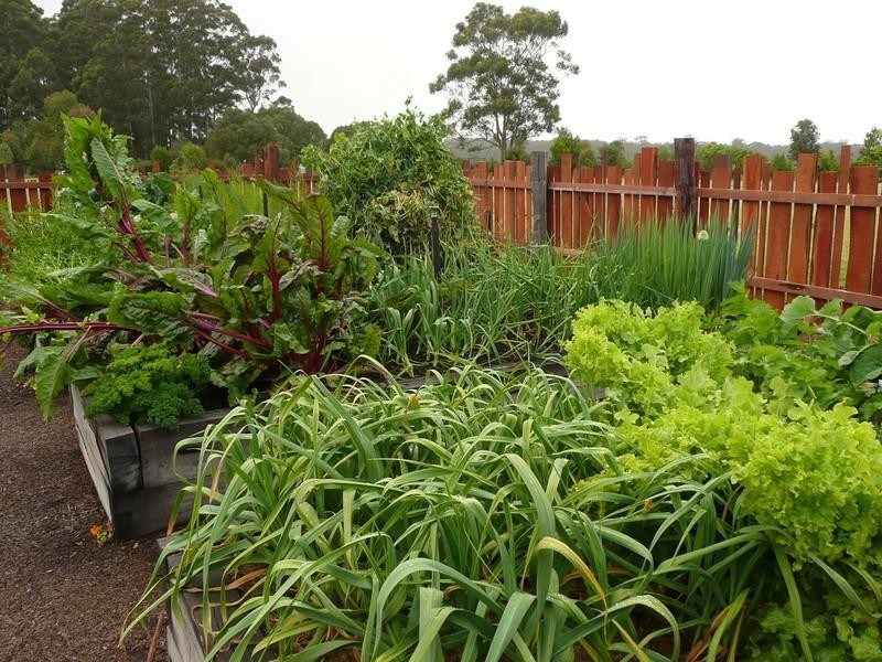 Lot 1 Stirling Road, Pemberton WA 6260