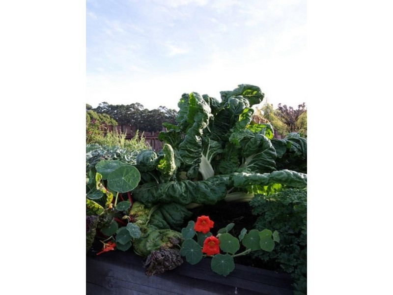 Lot 1 Stirling Road, Pemberton WA 6260