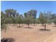 Nannup WA 6275