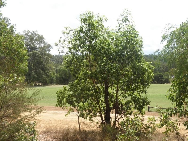 Nannup WA 6275