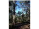 Nannup WA 6275
