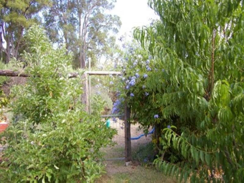 Lot 109 Warren Road, Nannup WA 6275