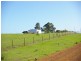 Lot 61 Thomas Road, Nannup WA 6275
